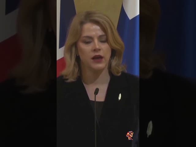 Evika Siliņa Resigns After Drone Incursions | Latvia Security Crisis