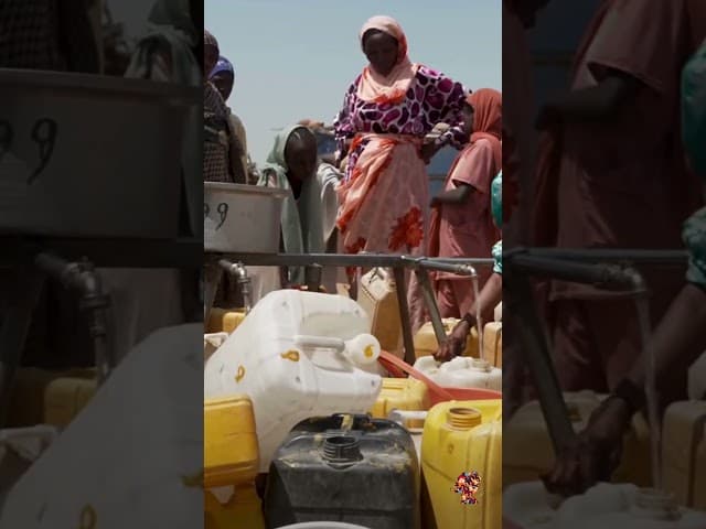 Tracy Lucas Warns Conflict Displacement Hit Record High | Global Crisis